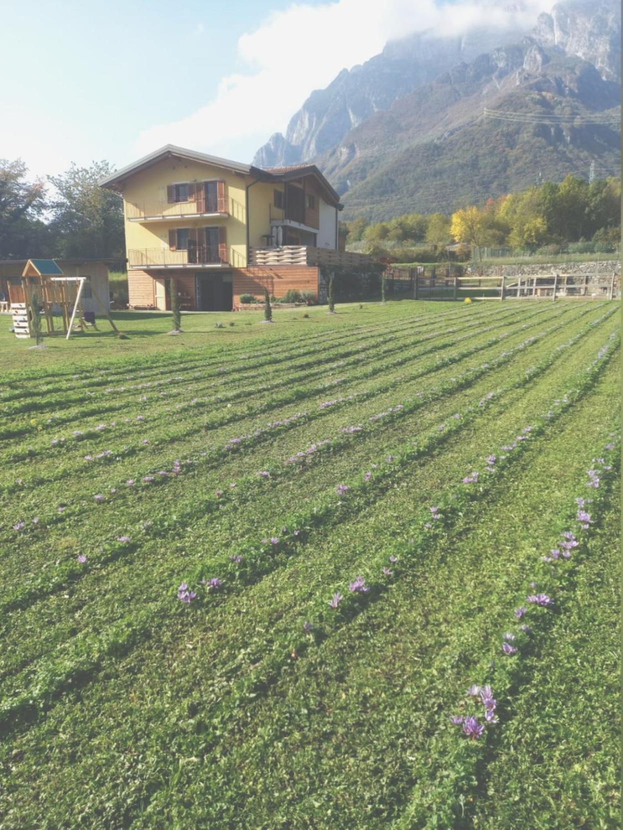 Azienda Agricola Agriturismo I Sei Petali Capo di Ponte Eksteriør bilde
